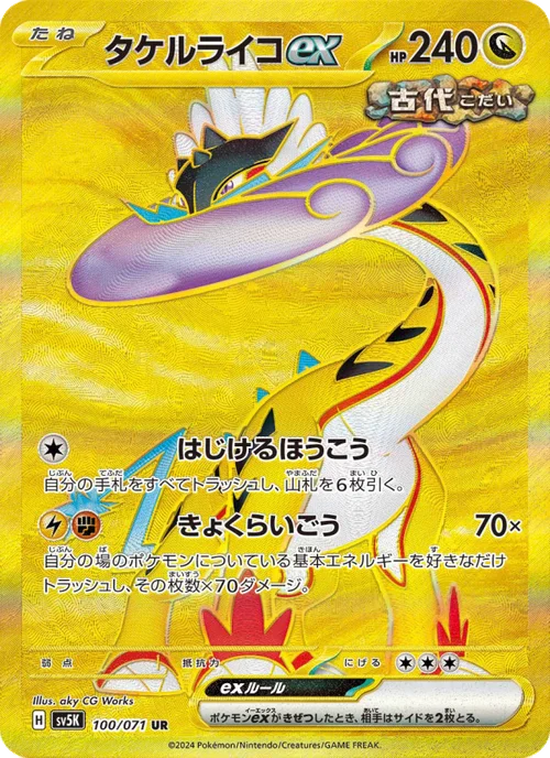 タケルライコex 100/71